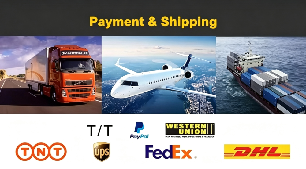 Professional SSD Manufacturer in China | NVMe & SATA SSD OEM Supplier